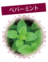 Peppermint_w